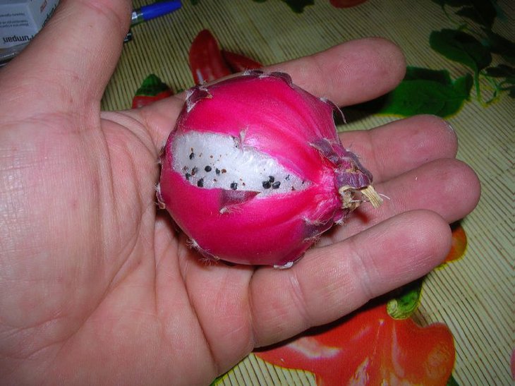 DSCN8877.JPG