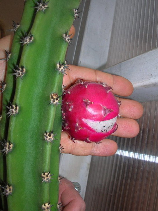 DSCN8871.JPG