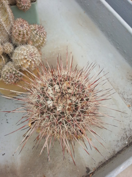 20150330_145105.jpg