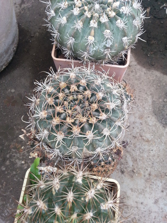 20150330_145123.jpg