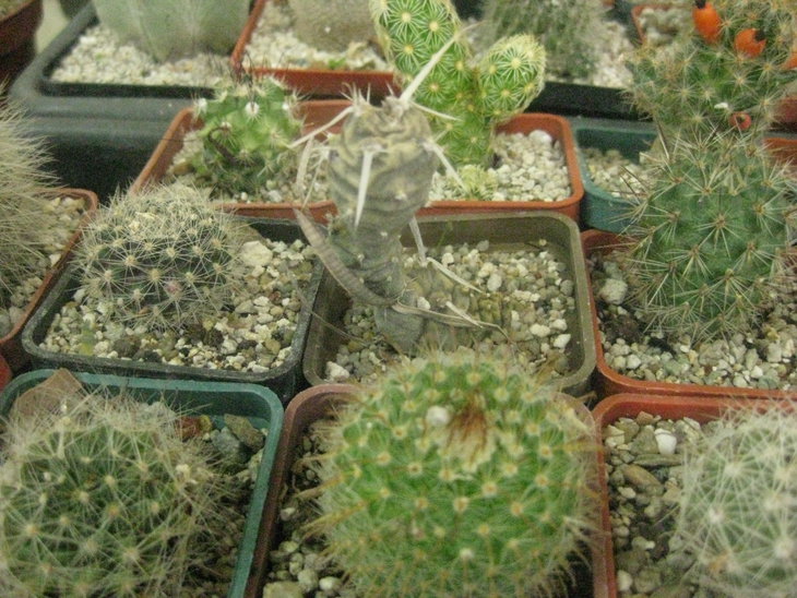 15.JPG