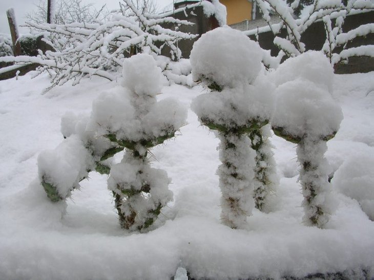 DSCN8892.JPG