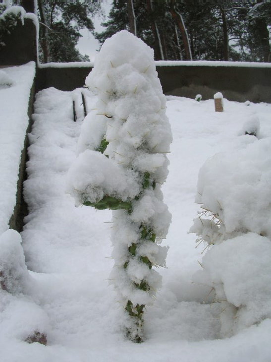 DSCN8890.JPG