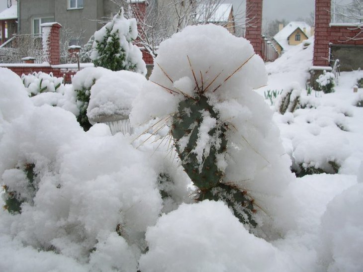 DSCN8887.JPG