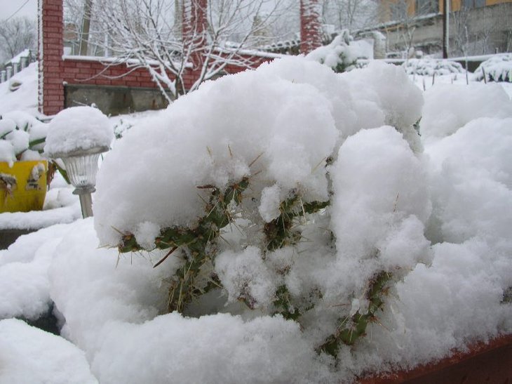 DSCN8885.JPG