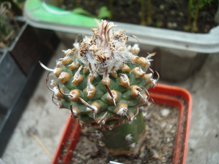 DSC03201.JPG