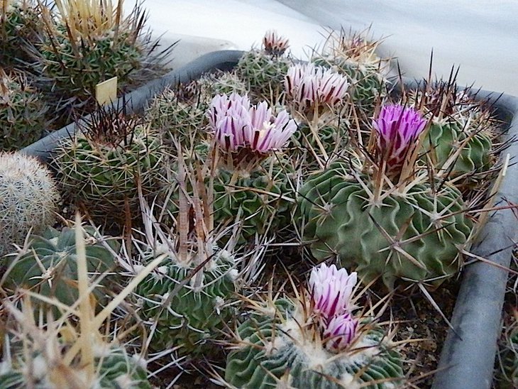 P572.JPG