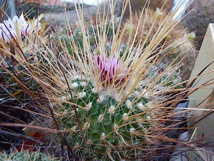 P3860.JPG