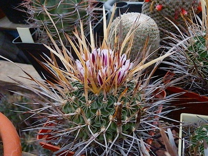 P8566.JPG