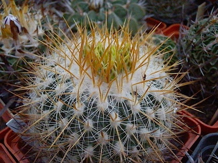P8567.JPG