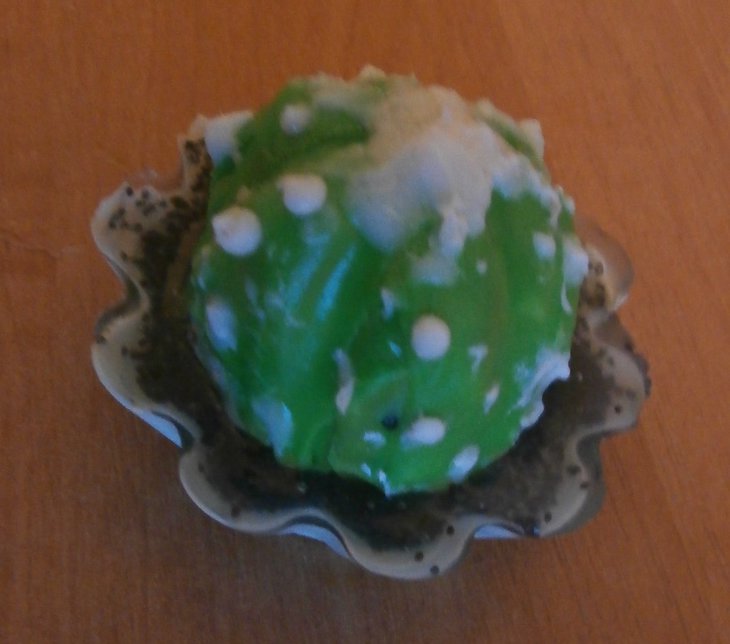P1011643.JPG