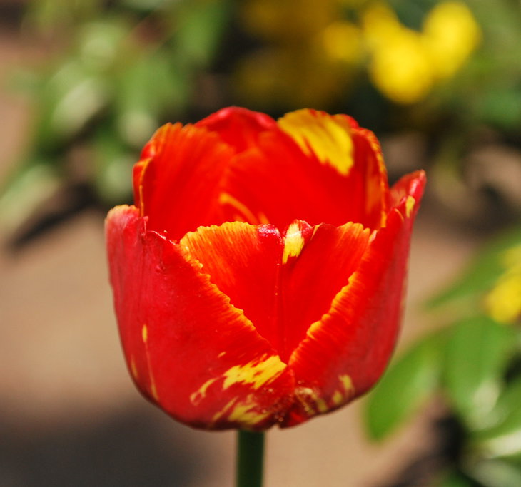 DSC_6425.jpg
