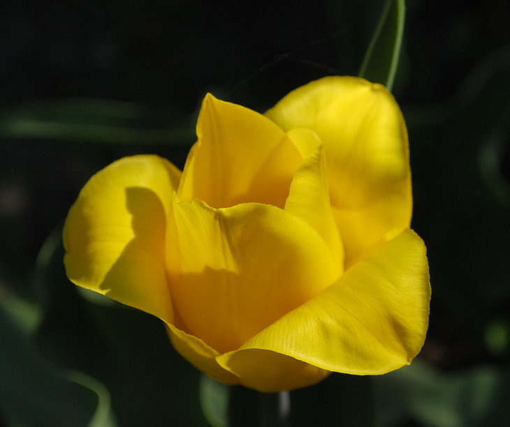 DSC_6423.jpg