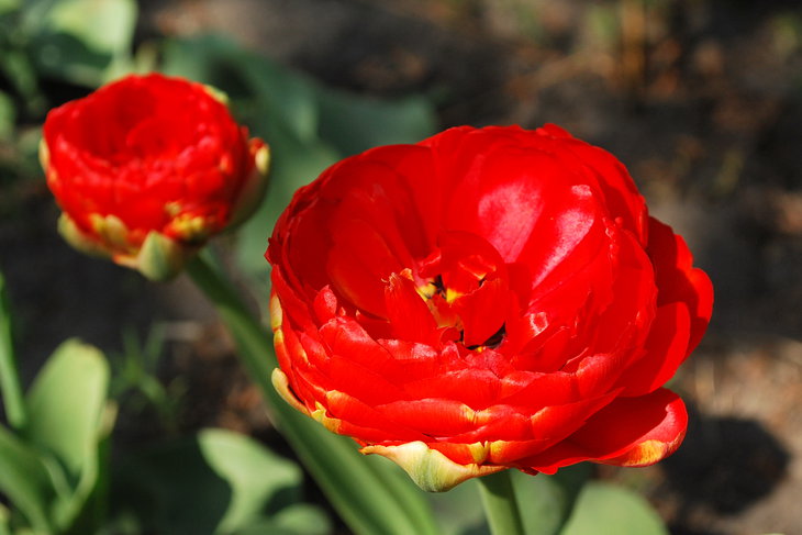 DSC_6427.jpg