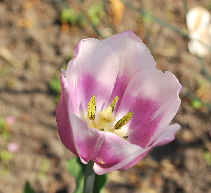 DSC_6428.jpg