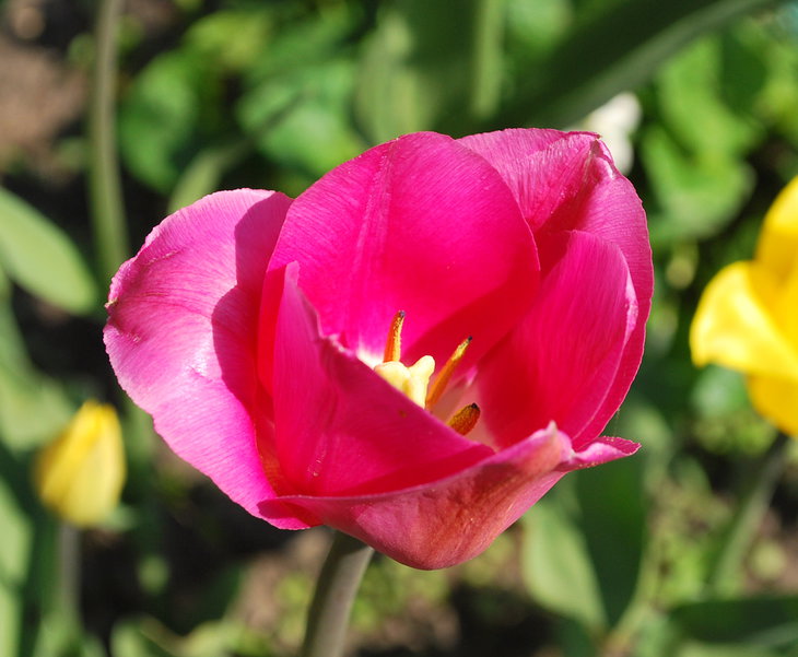 DSC_6430.jpg