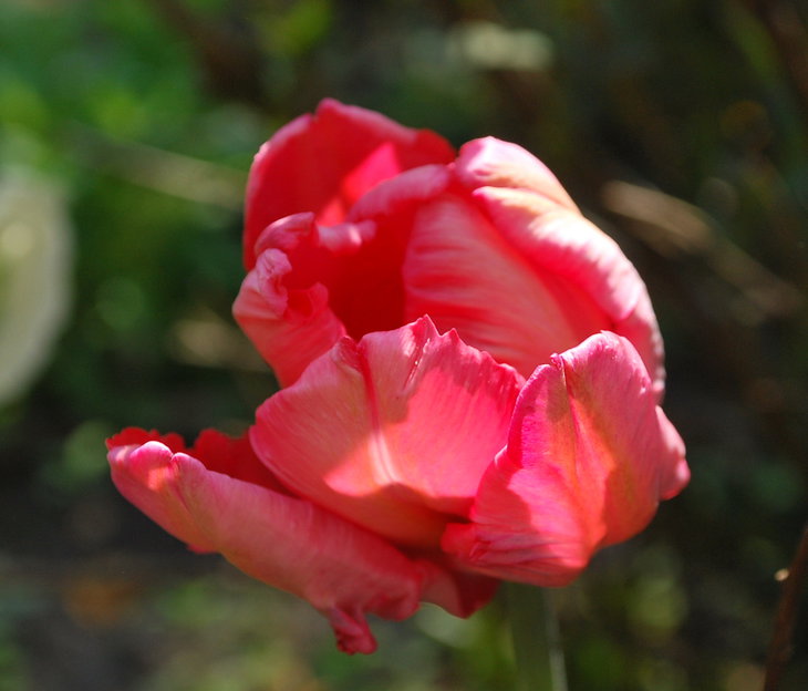DSC_6432.jpg