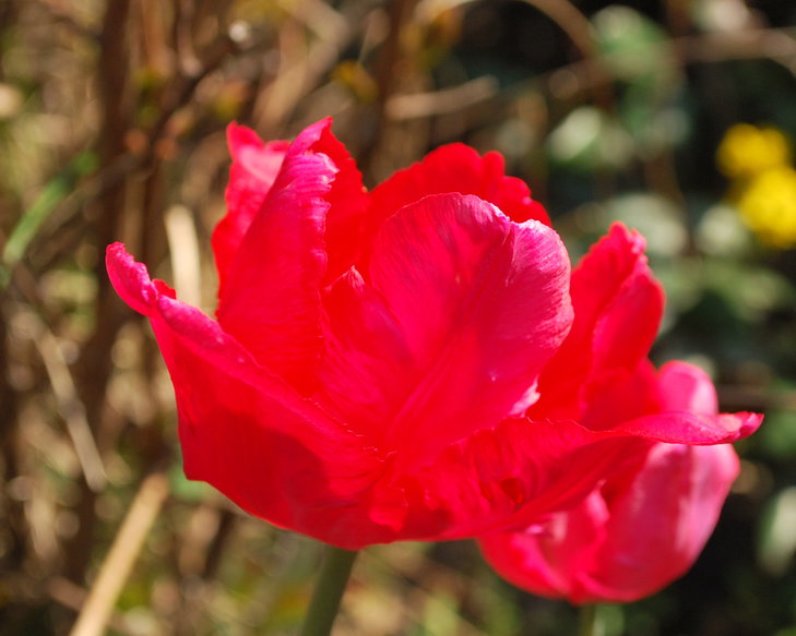 DSC_6435.jpg