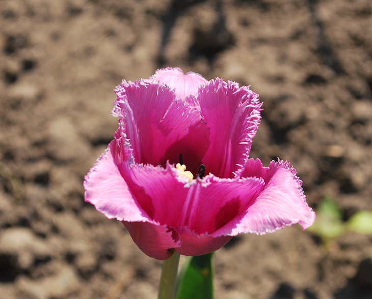 DSC_6436.jpg