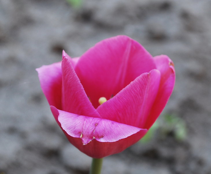 DSC_6437.jpg