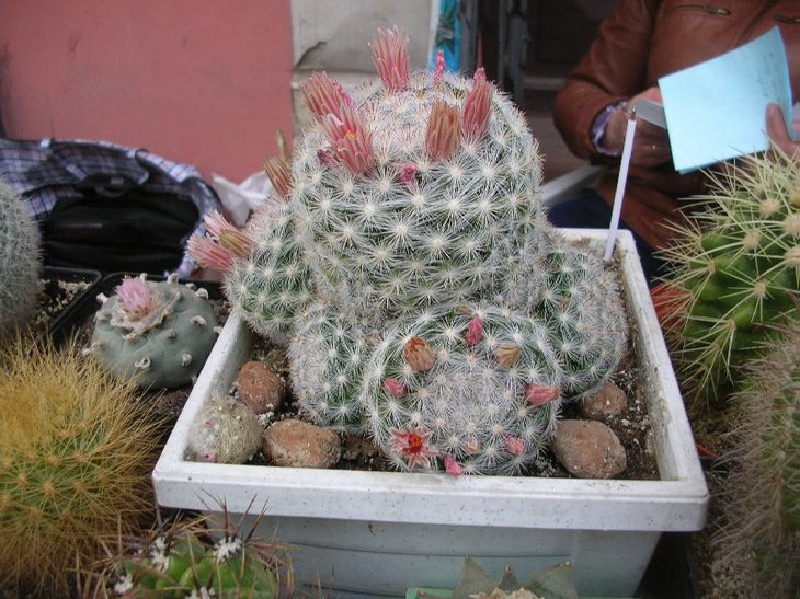 DSCN9143.JPG