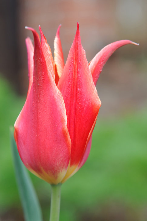 DSC_0099.jpg