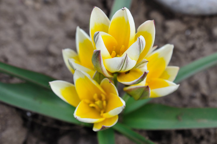 DSC_0056cc.jpg