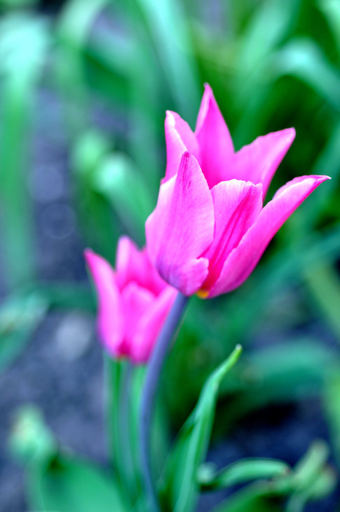 DSC_0028і.jpg
