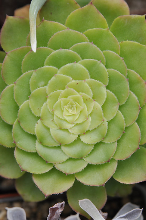 DSC_0014.jpg