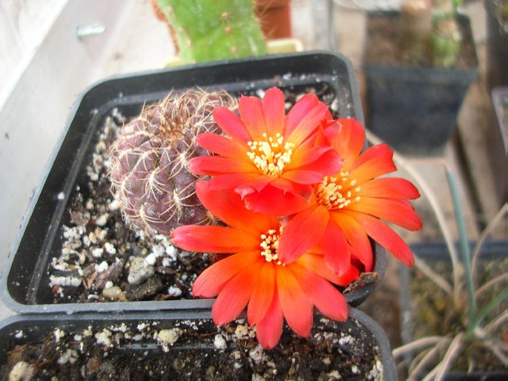 DSCN9252.JPG