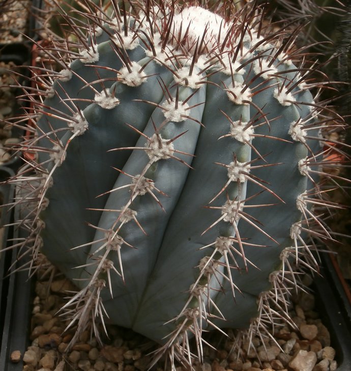 P1012014.jpg