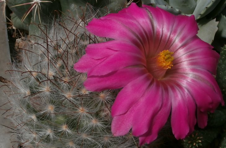 P1012020.jpg
