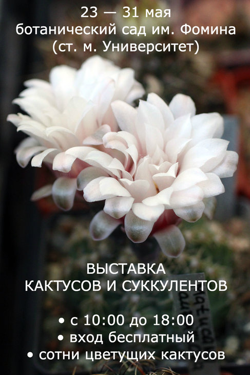 выставка.jpg