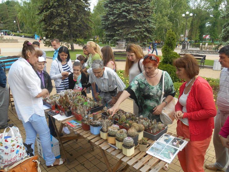 DSCN1656.jpg