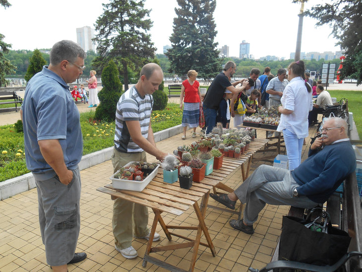 DSCN1657.jpg