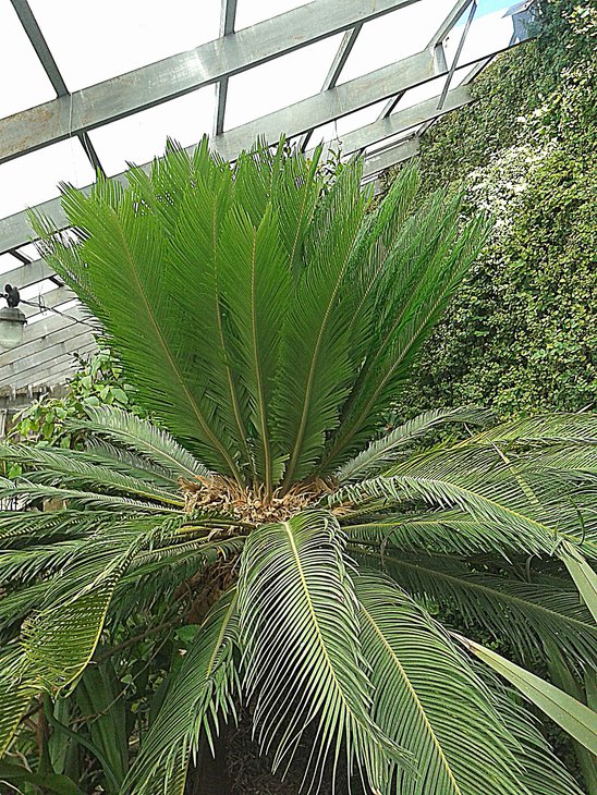 20150612_101213.jpg