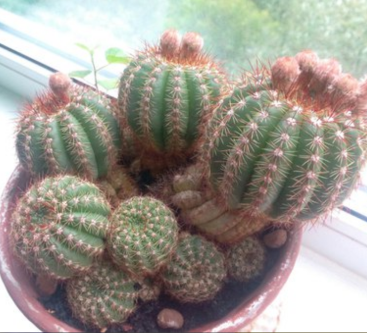 20150621_170938.png