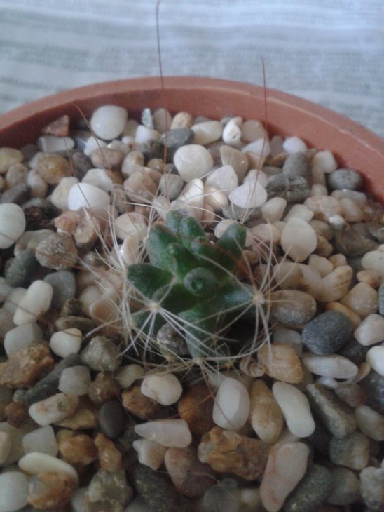 20150622_111714.jpg