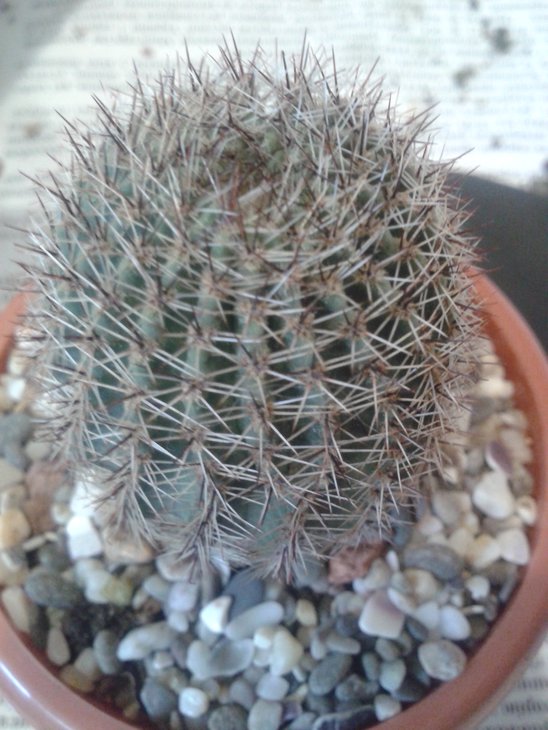 20150622_114031.jpg