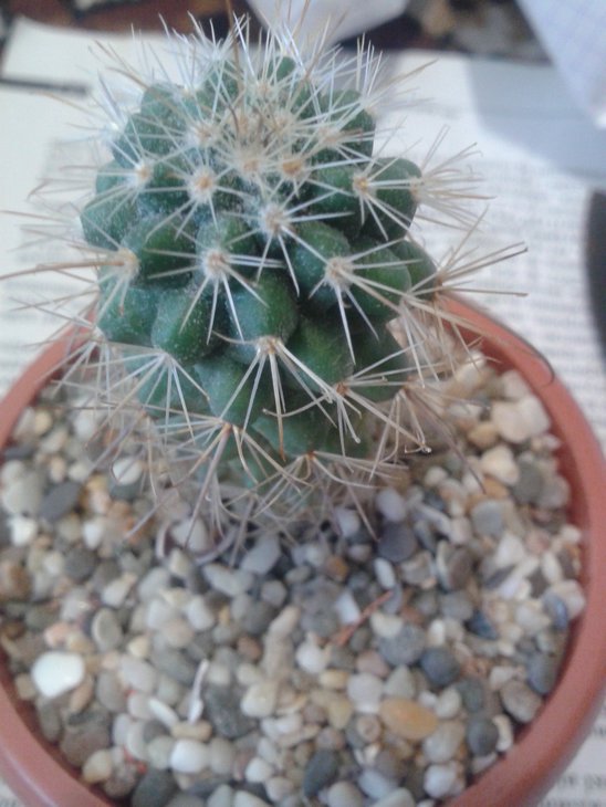 20150622_115146.jpg
