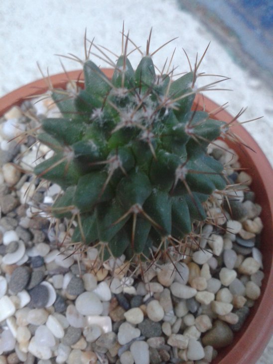 20150626_192559.jpg