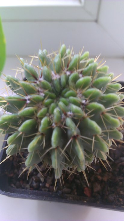IMAG0417.jpg