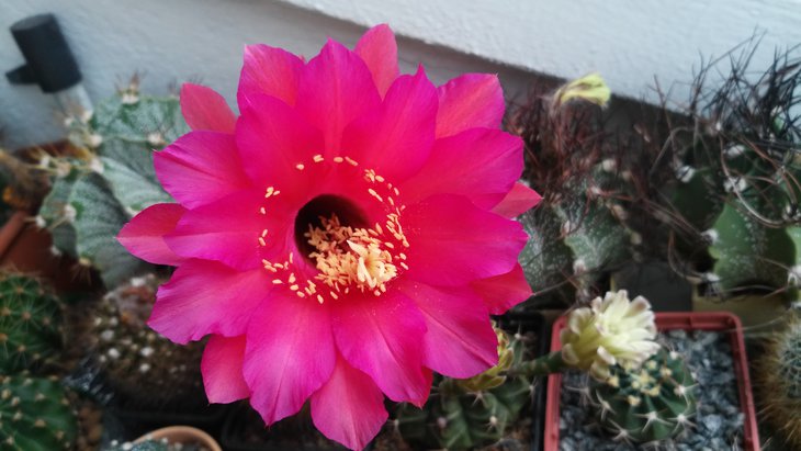 20150701053213.jpg