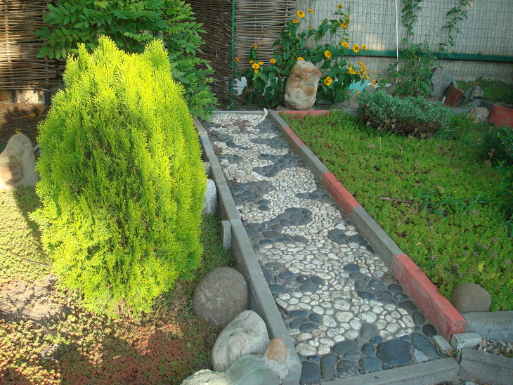 DSC06009.JPG