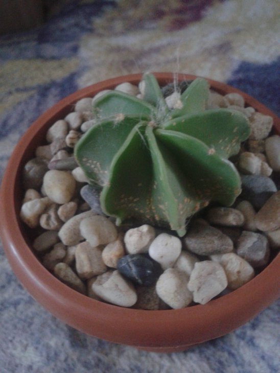20150720_180133.jpg