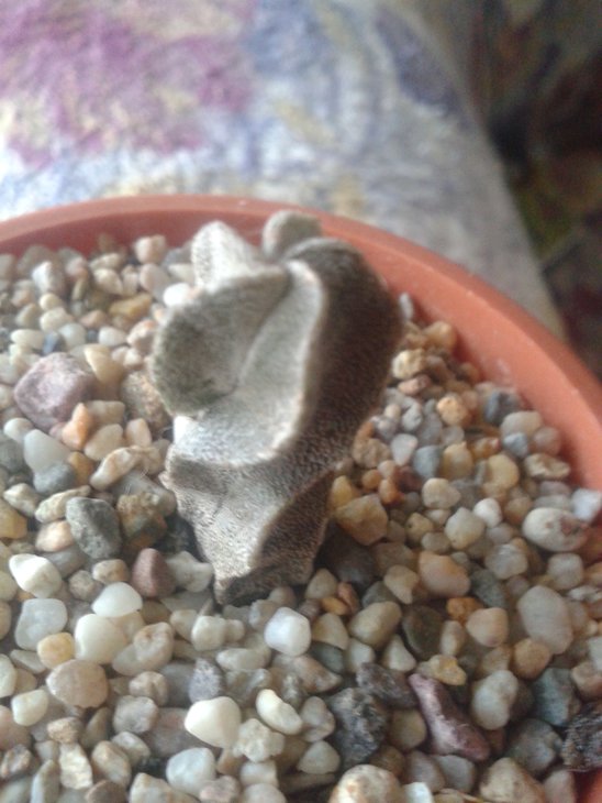 20150720_185422.jpg