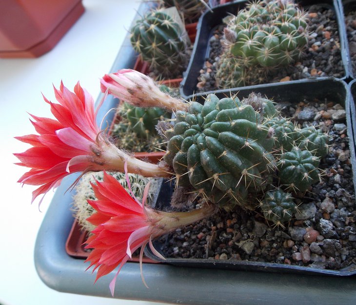 DSCN0370.JPG