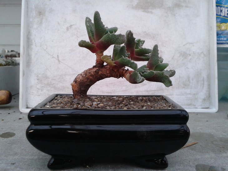 20150227_151150.jpg