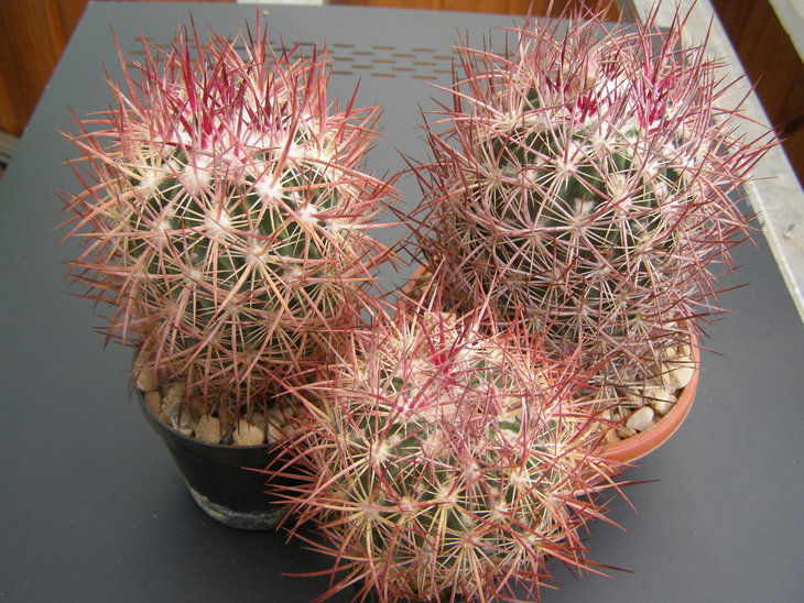 SB690.JPG