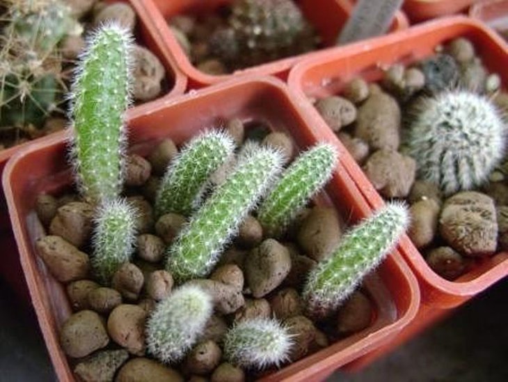 image44.jpg